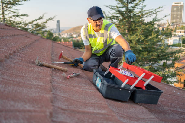 Best Attic Cleanout  in Parowan, UT
